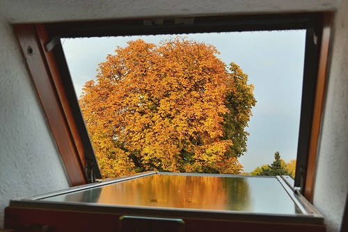 Fensterfolie als Sichtschutz