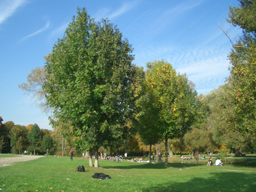 Englischer Garten