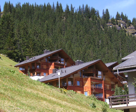 Bild 2: Holzhäuser im Berner Oberland