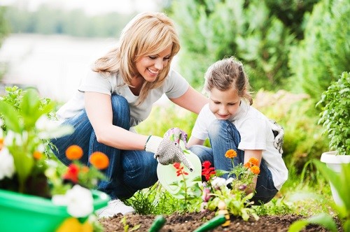 Die ersten Gartenarbeiten