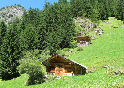 Bild 1: Idyllisches Blockhüttchen in den Bergen